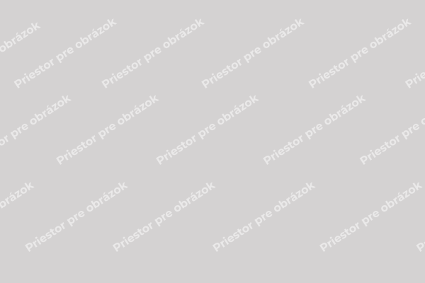 priestor pre obrazok TINY